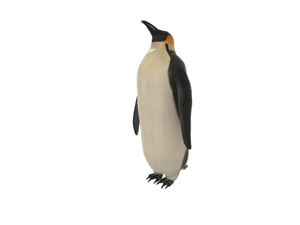 penguin